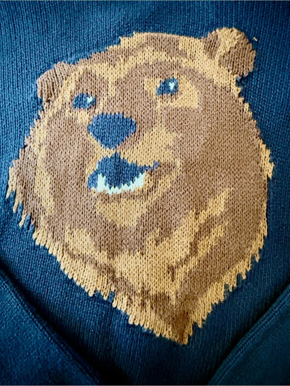 Old Navy Boys Bear Hooded Sweater Size L (10) Navy Blue Heavy Knit 100% Cotton